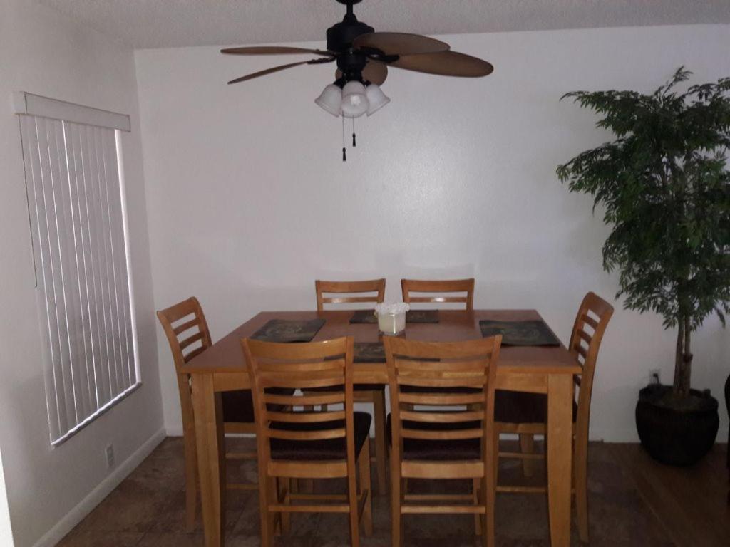 Florida Condos On Lake Tarpon Palm Harbor Exterior photo