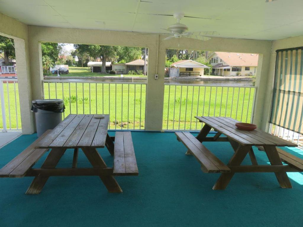 Florida Condos On Lake Tarpon Palm Harbor Exterior photo