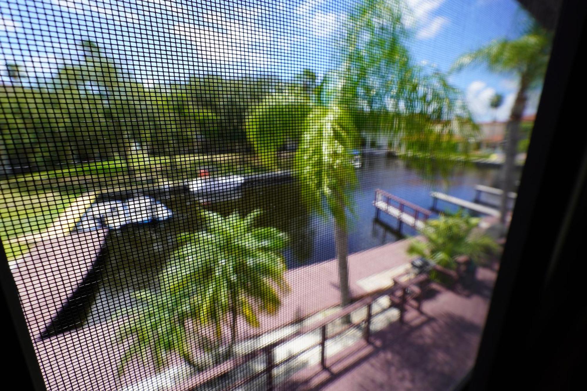 Florida Condos On Lake Tarpon Palm Harbor Exterior photo